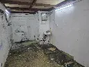 20250828_101728.webp