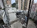 20250516_122010.webp