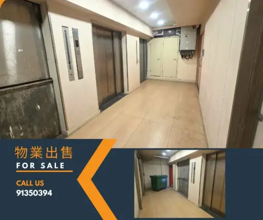 葵涌永立街8-14号荣来工业大厦03楼B室
